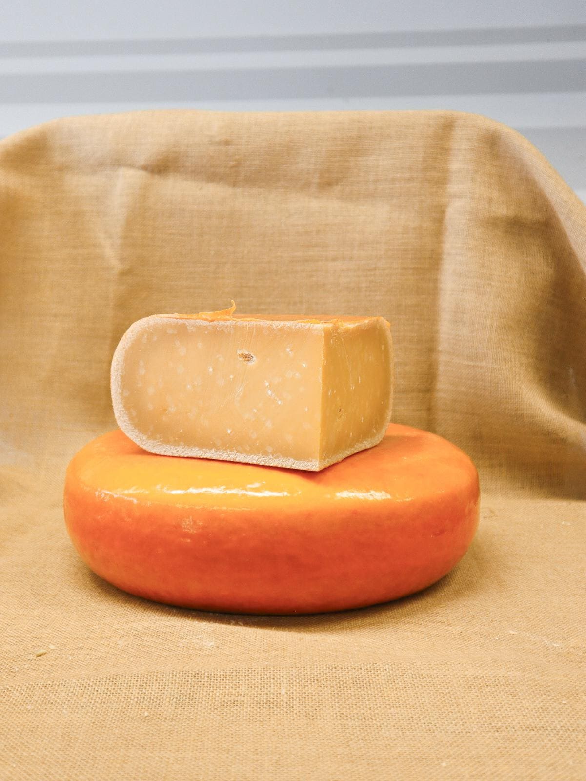 Gouda